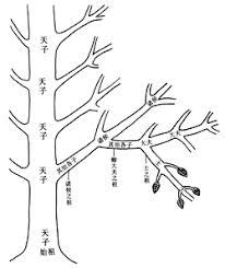 強榦弱枝|強幹弱枝